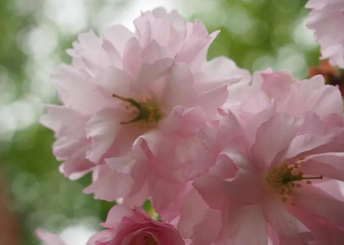 St Michel Ferienhaus Vains