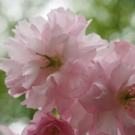 St Michel Дом отдыха Vains